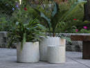 Peony Pot