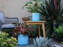 Cylinder Ombre Planter By Plantatorem