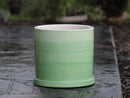 Cylinder Ombre Planter By Plantatorem
