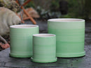 Cylinder Ombre Planter By Plantatorem