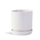 Dotted Cylinder Planter With Attached Saucer