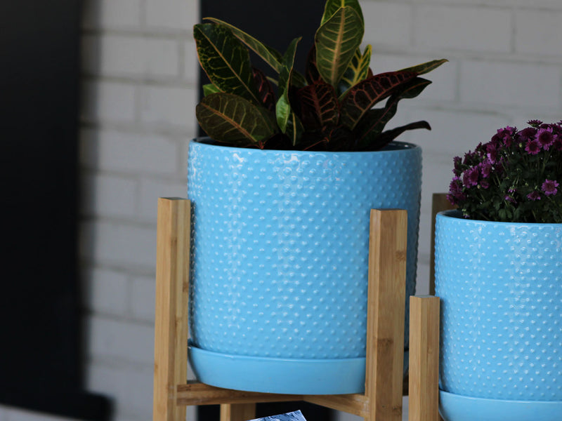 cylinder planter with saucer PHG 5