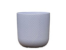 Dotted Cylinder Planter (No Saucer)