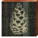Pine Cone Dark Wood PEA6