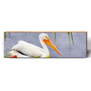Floating Pelican | Wall Art Print on Real Wood