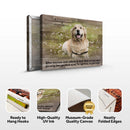 Colored Pet Memorial Sign
