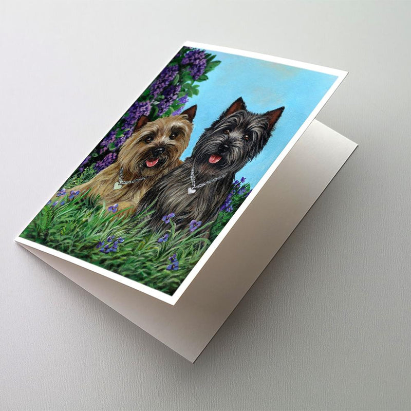 Cairn Terrier Donation Greeting Cards and Envelopes Pack of 8