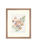Pastel Peaches