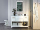 Hayley 48" Bath Vanity Set