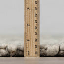 Olisa Gray Wool Area Rug