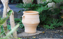 Pithari Urn By Plantatorem