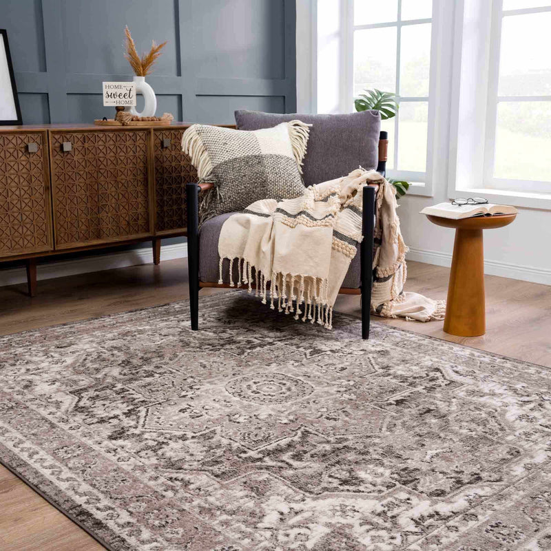 Albie Charcoal & Beige Area Rug