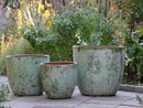 Coco Pots Aegean By Plantatorem