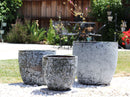 Coco Pots Coral