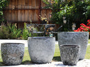 Coco Pots Coral - Large