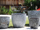 Coco Pots Coral - Large