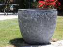 Coco Pots Coral - Large