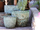 Coco Pots Coral - Large