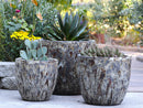 Coco Pots Coral