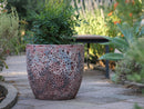 Coco Pots Coral - Large