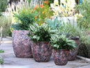 Coco Pots Coral - Large