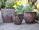 Coco Pots Coral
