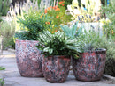 Coco Pots Coral