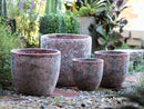 Coco Pots Coral - Large