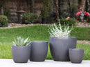 Coco Pots Glazed By Plantatorem