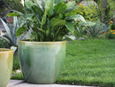 Coco Pots Glazed By Plantatorem