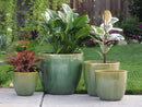 Coco Pots Glazed By Plantatorem