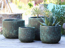 Norma Planter By Plantatorem
