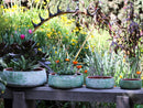 Hand Thrown Smooth Bowls By Plantatorem
