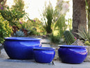 Low Jar Planter By Plantatorem