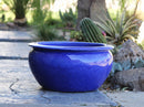 Low Jar Planter By Plantatorem