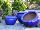 Low Jar Planter By Plantatorem