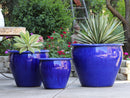 Fish Bowl Pots By Plantatorem