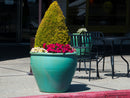 Fish Bowl Pots By Plantatorem