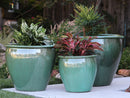 Fish Bowl Pots By Plantatorem