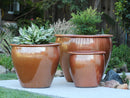 Fish Bowl Pots By Plantatorem
