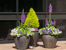 Fish Bowl Pots By Plantatorem