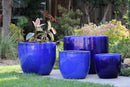 Egg Shell Pots By Plantatorem