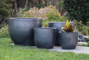 Egg Shell Pots By Plantatorem