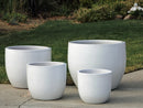 Egg Shell Pots By Plantatorem