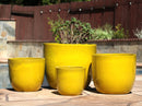 Egg Shell Pots By Plantatorem