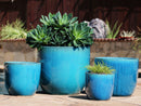 Egg Shell Pots By Plantatorem