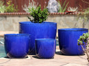 Egg Shell Pots By Plantatorem