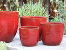 Egg Shell Pots By Plantatorem