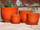 Egg Shell Pots By Plantatorem