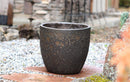 Egg Shell Pots By Plantatorem